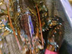 -三个渔夫·蒸汽海鲜(小白楼店)