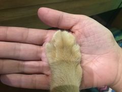 -默迹咖啡馆