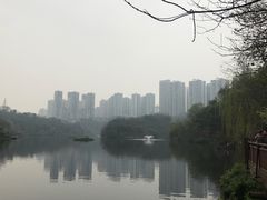 -重庆彩云湖湿地公园