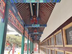 -莲池书院博物馆