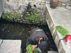 -前童古镇