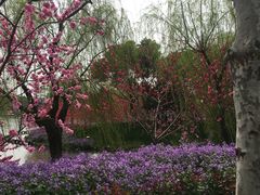 -圩墩遗址公园