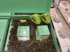 -武汉世茂希尔顿酒店·汇·全日餐厅