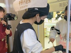 -岭南站NOVA