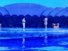 -横店影视城梦幻谷园区