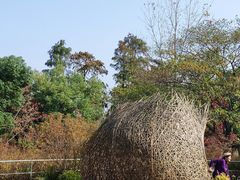 -上海滨江森林公园