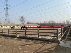 -北京群众马术培训基地