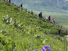 -新疆那拉提国家旅游度假区