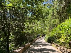 -国家植物园南园