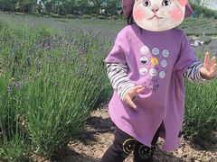 -季高兔窝窝亲子园(上海薰衣草公园店)