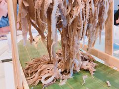 晾衣牛百叶-橄榄季酒店