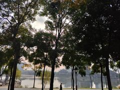 -眉山湿地公园(东坡区)