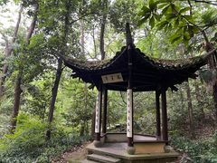 -嘉龙茶庄