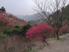 -溪口-滕头旅游景区