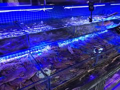 -渔民船说·北塘海鲜·天津菜·海肠捞饭(北塘古镇店)