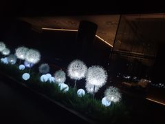 -盒马鲜生(红莲店)