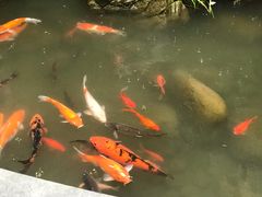 -鱼桥巷·美学川菜