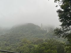 -梧桐山风景名胜区