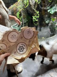 -Zoolung Zoolung动物主题公园(海信广场店)