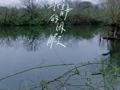 -西溪国家湿地公园