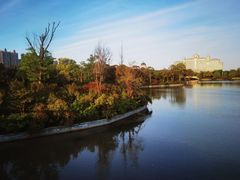 -启东黄金海滩景区