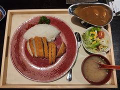 炸猪排咖喱饭-一豚轩·烧鸟·豚骨拉面(五四路店)