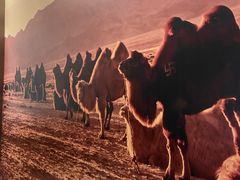 -巴盟人家·内蒙地方菜(华丽家族店)