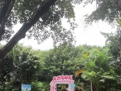 -广州长隆飞鸟乐园