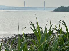 -西堤公园