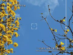 -洲头咀公园