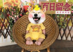 -艳芳照相馆