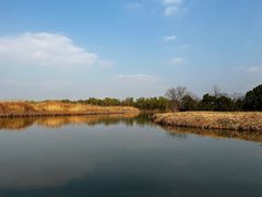 -西溪国家湿地公园