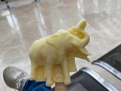 -天津自然博物馆