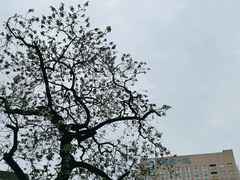 -浙江大学医学院附属第一医院(庆春院区)