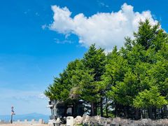 -白草畔自然风景区