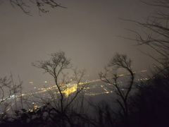 -紫金山山顶公园