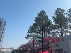 -中国京杭大运河博物馆
