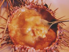 -海胆小馆(东北水饺·春柳店)