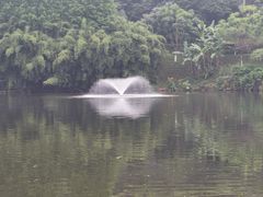 -重庆彩云湖湿地公园
