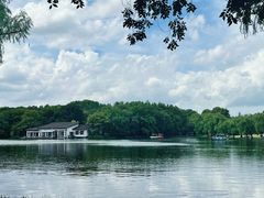 -上海共青森林公园