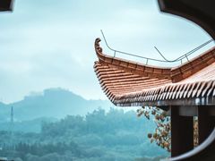 -深圳仙湖植物园