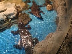 -多彩贵州城极地海洋世界