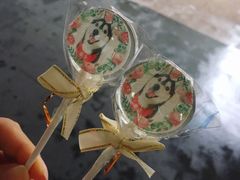 -Husky Go! 哈士奇体验馆·宠物咖啡厅狗咖