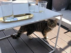 -UNI UNI(环亚凯瑟琳店)