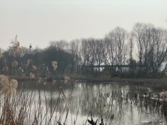 -西湖风景区-江洋畈生态公园