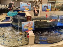 水产区-海景壹号大酒店(滨湖店)