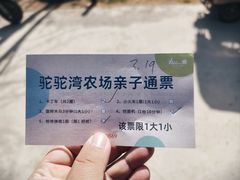 -静之湖度假区