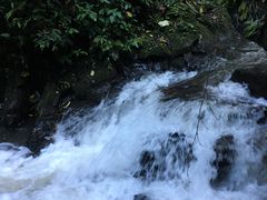 -莫里热带雨林景区