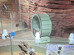 -正佳雨林生态植物园
