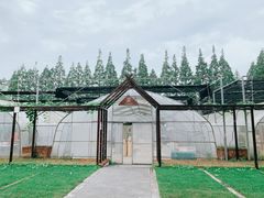 -前小桔亲子创意农场·草莓采摘·露营烧烤